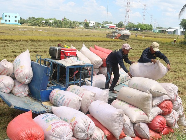 Nóng: Bộ Công Thương công bố hạn ngạch xuất 400.000 tấn gạo