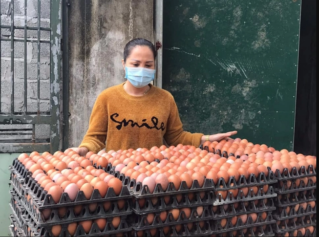 Tình hình bi đát, người chăn nuôi phải hủy trứng gà giống
