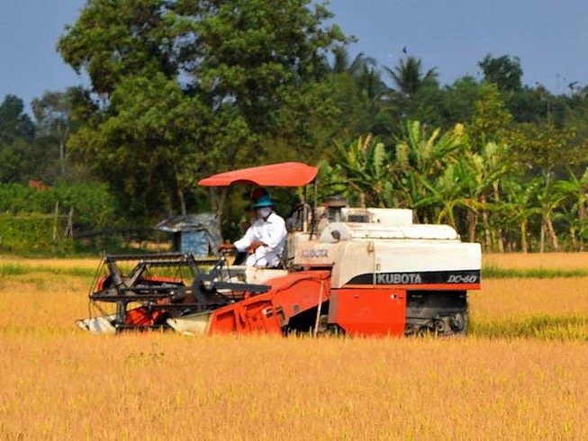 Hỏa tốc đề nghị hải quan cho xuất khẩu gạo nếp kịp thời