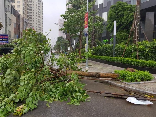 Áp thấp nhiệt đới có thể đi vào biển Đông, mạnh lên thành bão