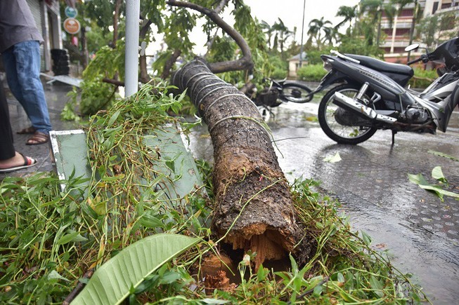 1 người chết, 29 người bị thương do bão số 5
