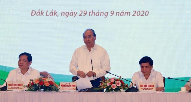 Thủ tướng: Phải làm rõ vì sao trồng mắc ca không ra trái