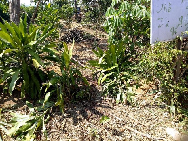 Bị tát tại bàn nhậu, về nhà lấy dao đâm chết đối thủ