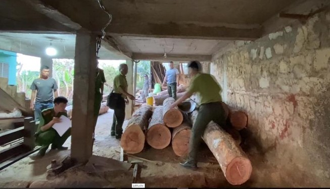 Phát hiện hơn 8 m3 gỗ không nguồn gốc trong xưởng