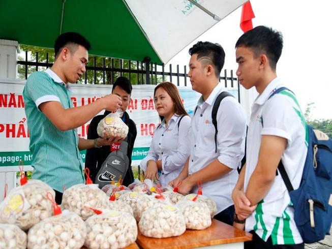 Sinh viên bán hành, tỏi giúp bà con nông dân Lý Sơn