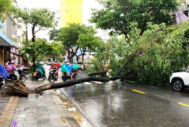 'Văn bản khẩn' cho HS Đà Nẵng nghỉ học do mưa bão là giả