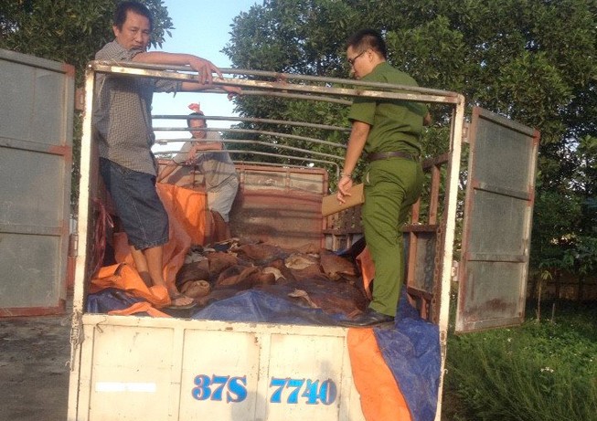 Bắt xe tải chở 4 tấn da trâu, bò hôi thối đi tiêu thụ