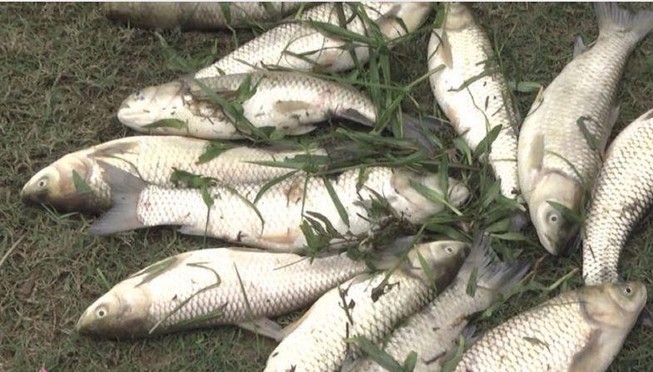 Bộ Công Thương kiểm tra vụ vỡ đập chứa bùn thải quặng