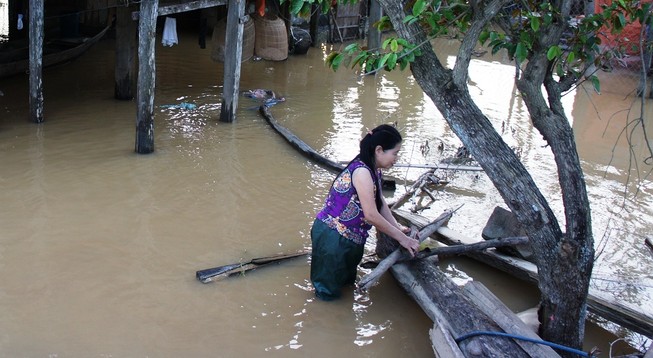 Nghệ An: 600 người đang cứu đê sạt lở