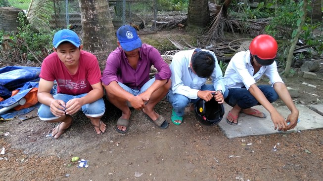 Triệt phá tụ điểm đá gà, tạm giữ 4 người