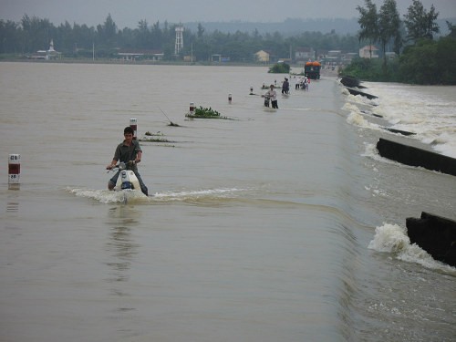 Lũ lên trên sông Cửu Long