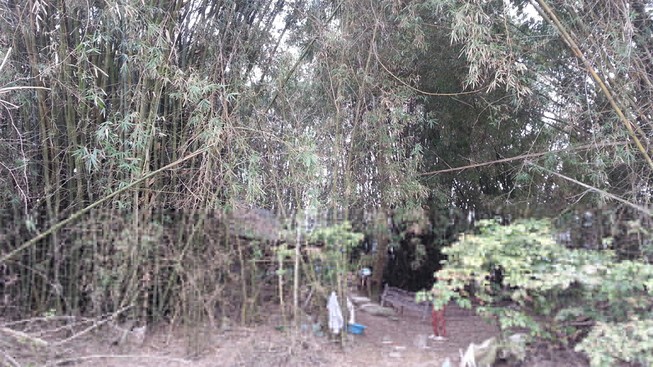 Đôi vợ chồng hơn 40 năm sống ẩn dật như “người rừng”