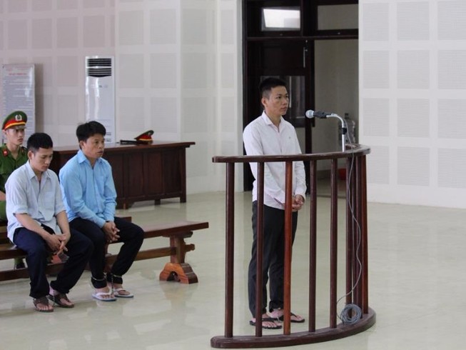 Không giảm án cho kẻ giết voọc trên núi Sơn Trà