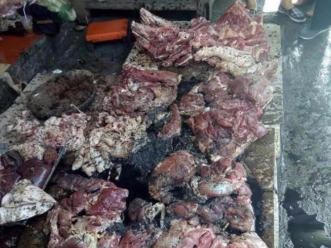2 phụ nữ hắt chất thải vào phản thịt lợn bị lãnh án