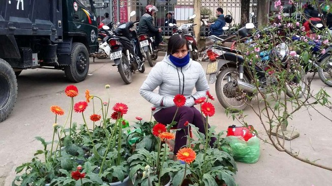 Tiểu thương co ro trong chợ Tết