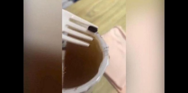 Nghi ngờ có trứng gián trong ly trà đào