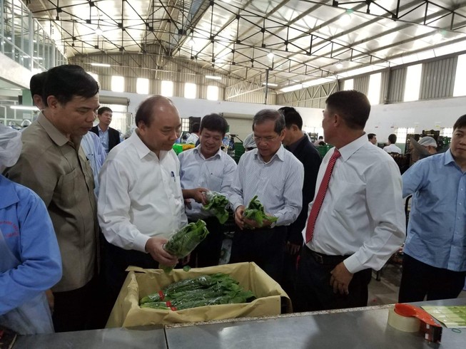 Thủ Tướng Nguyễn Xuân Phúc thăm một mô hình nông nghiệp cao tại Lâm Đồng