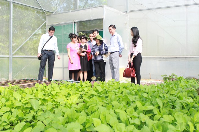 TPHCM cũng có tour ‘một ngày làm nông dân’