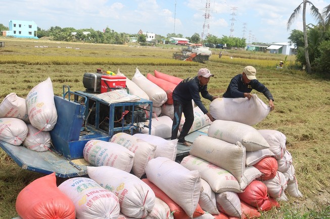 'Doanh nghiệp đang ốm yếu, tìm thầy thuốc để chữa bệnh'
