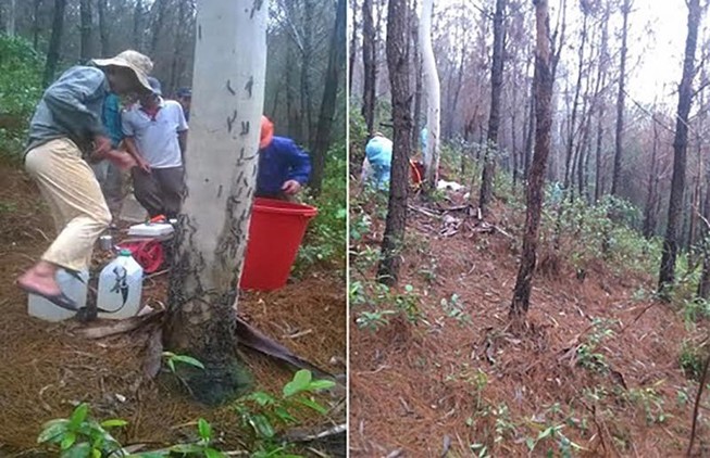 Cựu chủ tịch và phó chủ tịch xã bị bắt vì ăn chặn tiền