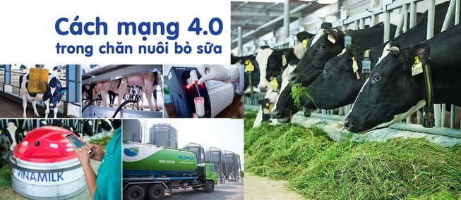 Hệ thống trang trại Vinamilk tăng trưởng ấn tượng