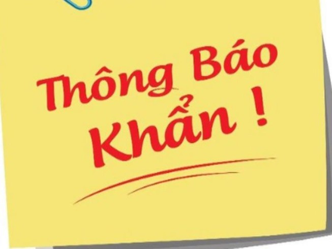 Thông báo khẩn khách đi 2 chuyến bay từ Đà Nẵng vào TP.HCM