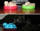 Xác minh giò lụa phát sáng bất thường trong đêm