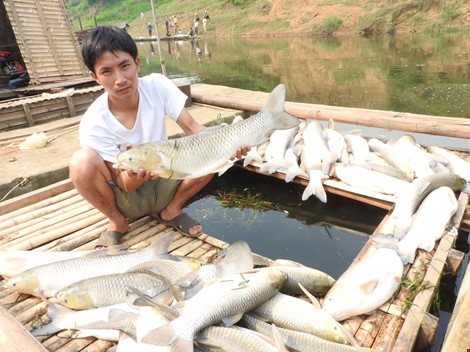 Vụ ô nhiễm sông Bưởi: Phạt 4 tỉ, buộc “rửa” sạch ô nhiễm