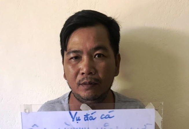 Bắt sới đá cá ăn tiền hàng trăm triệu đồng ở Đà Nẵng
