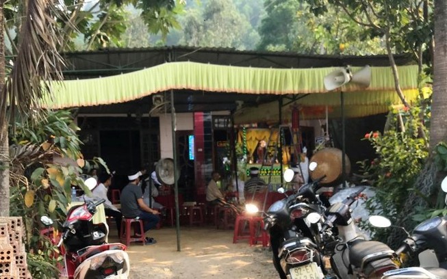 Một người ở Quảng Nam bị ong chích tử vong