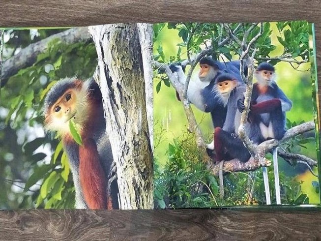 Triển lãm báu vật Sơn Trà lần đầu tiên tại đường sách