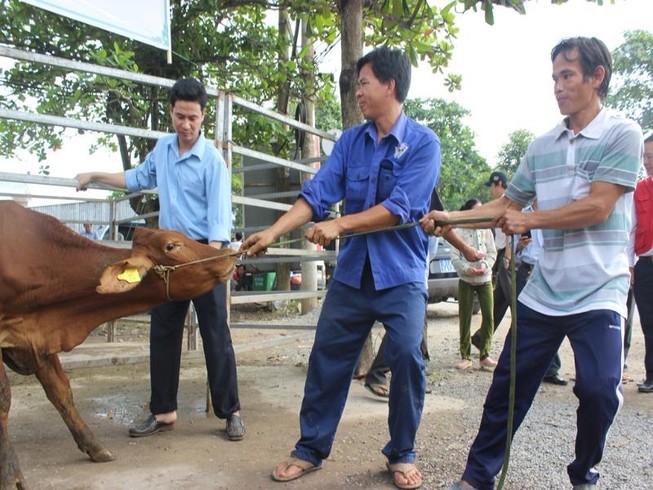 Hội Chữ thập đỏ kêu gọi được 1,4 triệu lượt người trợ giúp