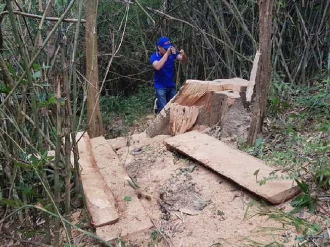 Sở Nông nghiệp Đắk Lắk nói về vụ phá rừng đặc dụng Nam Kar