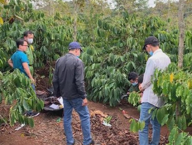Cô gái 22 tuổi bị sát hại trong rẫy cà phê
