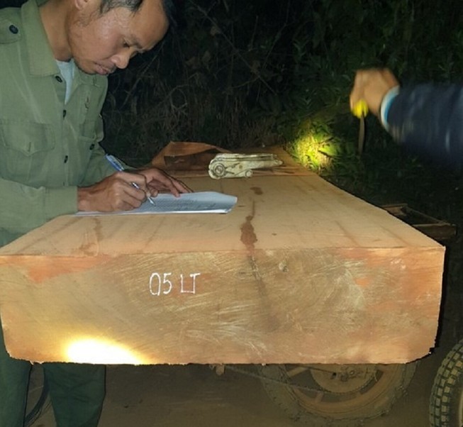 Bị mật phục, 13 người chở gỗ bỏ xe chạy trốn