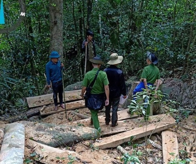 Kiểm tra hiện trường vụ phá rừng ở Gia Lai