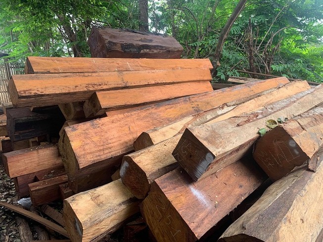 Phát hiện hàng trăm khúc gỗ trong một xưởng ở Gia Lai