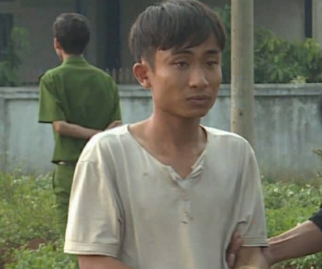 Dắt bò người khác đem đi bán thì bị bắt
