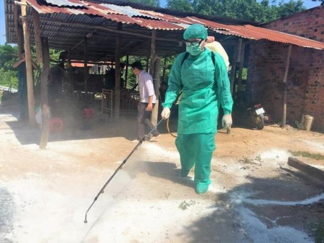 Tây Ninh: Phát hiện ổ dịch tả heo châu Phi đầu tiên