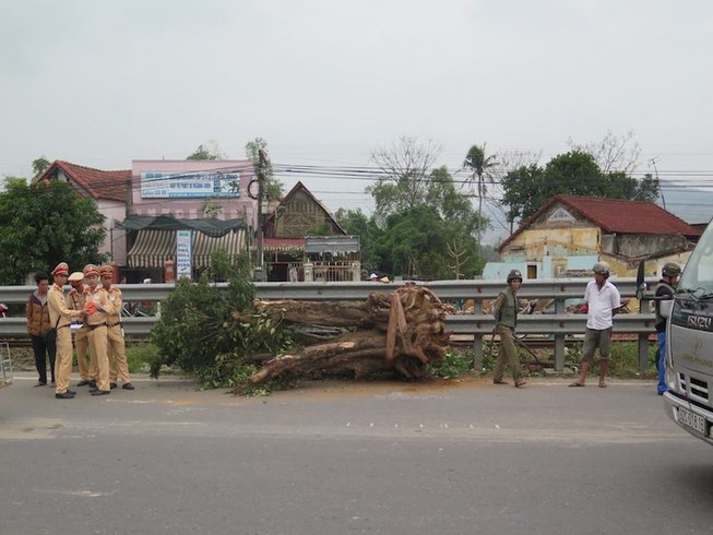Hàng trăm hành khách thoát nạn khi tàu SE2 đâm cần cẩu