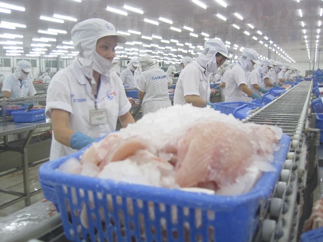 Cá Tra Việt Nam 'vượt rào' ngoạn mục