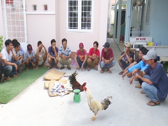 Bắt quả tang 21 đối tượng đá gà ăn tiền ngày giáp tết