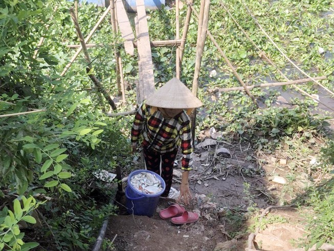 Hàng chục tấn cá nuôi bè trên sông Cái Vừng chết đột ngột