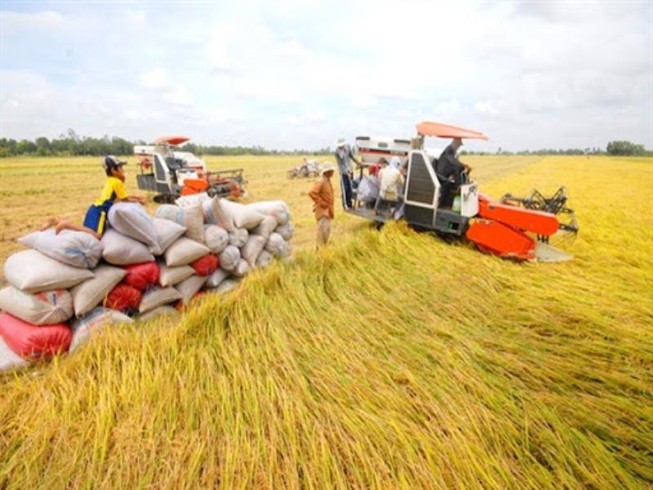 Vĩnh Long: Chi 400 tỉ đồng xây Bảo tàng nông nghiệp