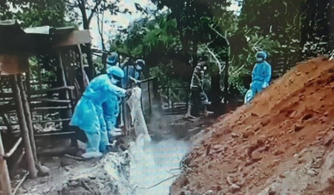 Bà Rịa- Vũng Tàu có hai ổ dịch tả heo châu Phi