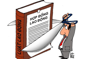 Không ký tiếp hợp đồng lao động, báo trước bao lâu?