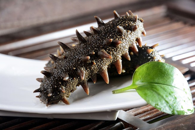 Những công dụng thú vị của hải sâm với sức khỏe