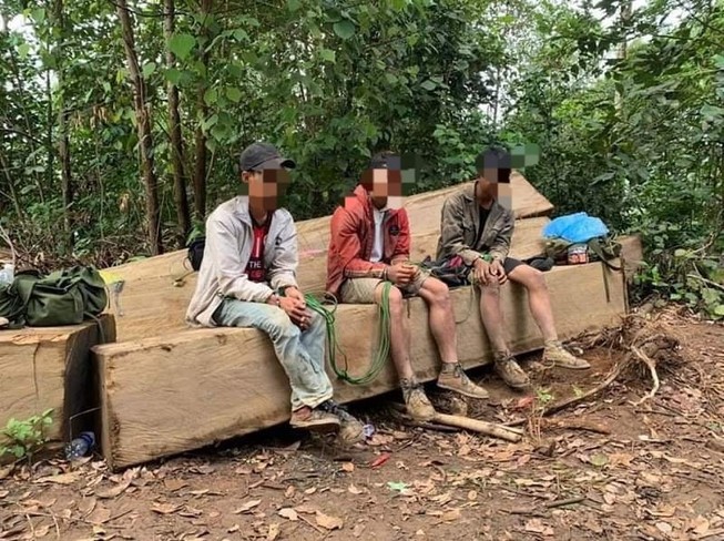 Bắt nhóm người khai thác gỗ trái phép
