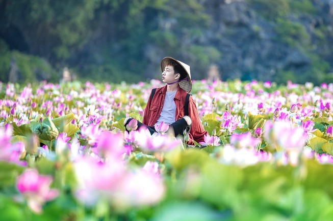Đến Hang Múa ngắm sen bung lụa giữa trời hạ