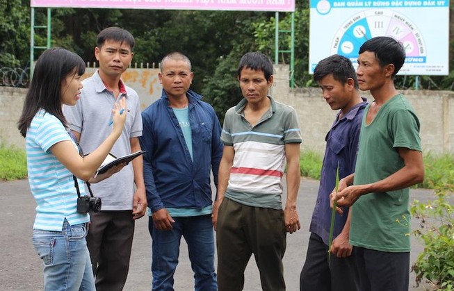 Ngày 9-8 số phận pháp lý của năm công dân cưa gỗ khô sẽ rõ?